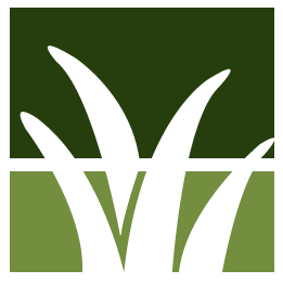 Allentown Lawn Clean Up