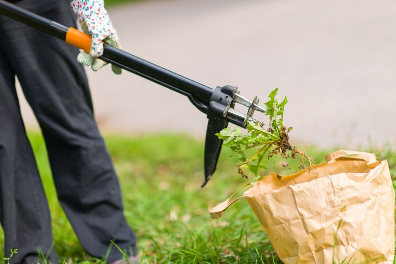 Tumbleweed Removal