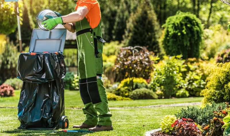 Spring Lawn Clean Up