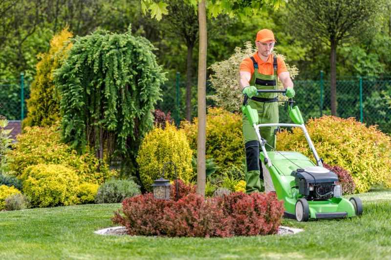 Full-Service Lawn Care Companies