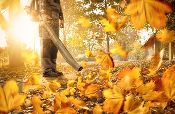 Leaf Blowing Service in Allentown