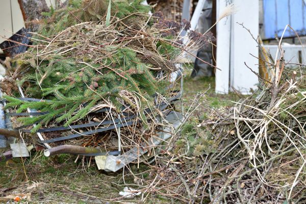 Yard Waste Removal Service in Allentown