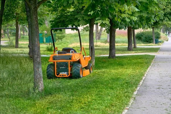 Landscaping Cleanup Service in Allentown
