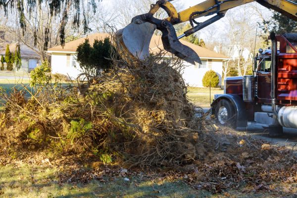 Storm Debris Removal in Allentown