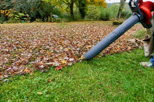 Leaves Vacuuming in Allentown