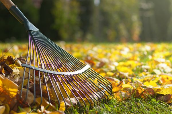 Seasonal Lawn Maintenance in Allentown