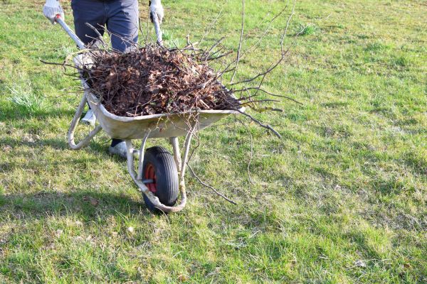 Yard Brush Removal in Allentown