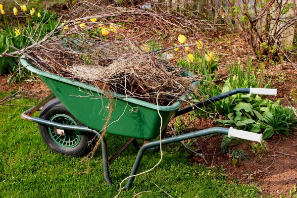 Lawn Waste Removal in Allentown