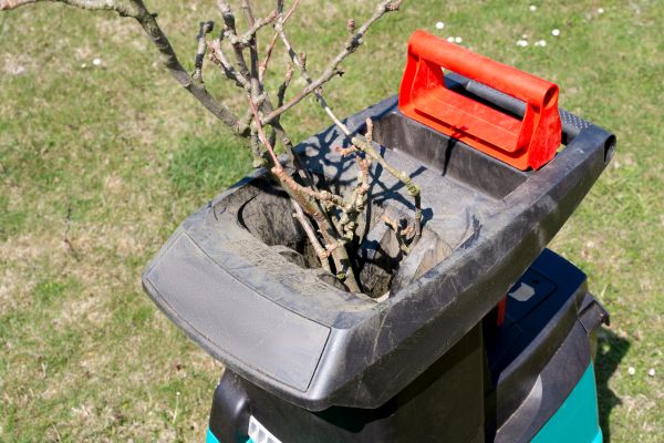 Brush Cleanup Service in Allentown