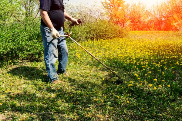 Yard Clearing Service in Allentown