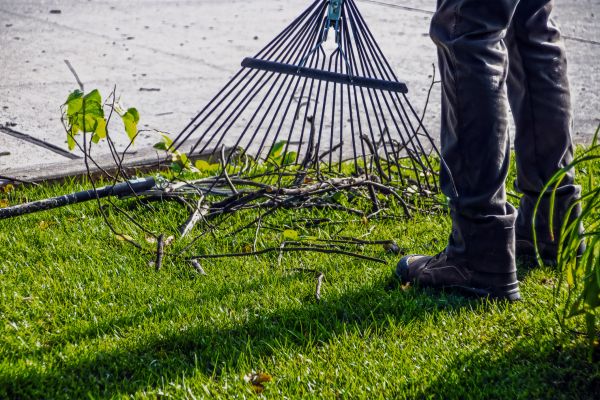 Yard Debris Cleanup in Allentown
