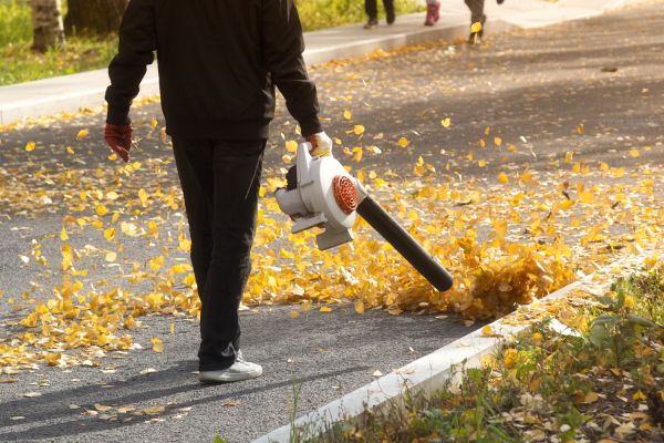 Commercial Leaf Removal in Allentown